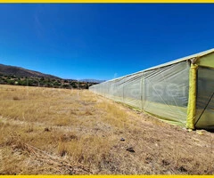 Terreno en venta, 6 hectáreas en Tolata Norte Cochabamba - 3