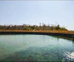 Propiedad agricola ganadera en venta en Santa Cruz - 2