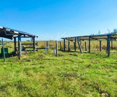 Propiedad agricola ganadera en venta en Santa Cruz - 3