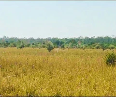 Propiedad agricola ganadera en venta en Santa Cruz - 4