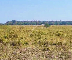 Propiedad agricola ganadera en venta en Santa Cruz - 6