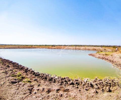 Propiedad agricola ganadera en venta en Santa Cruz - 7