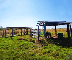 Propiedad agricola ganadera en venta en Santa Cruz - 8