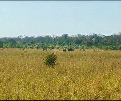 Propiedad agricola ganadera en venta en Santa Cruz - 9