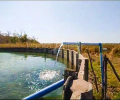 Propiedad agricola ganadera en venta en Santa Cruz - 10