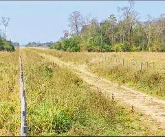 Propiedad agricola ganadera en venta en Santa Cruz - 11