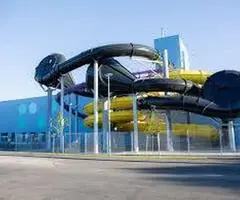 Todo tipo de decoraciones: palmeras, honguitos, sapitos - 9