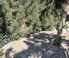 Terreno en Venta 8000 m2 en Irpavi II - 3