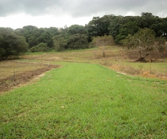 HERMOSO TERRENO EN BUENA VISTA ICHILO - 3