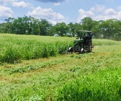Hermosa propiedad agricola en venta, entre Cabezas y Abapo, Santa Cruz - 2