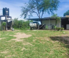 Hermosa propiedad agricola en venta, entre Cabezas y Abapo, Santa Cruz - 3