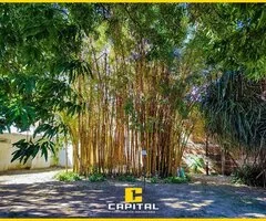 AMPLIO INMUEBLE  EN VENTA SOBRE AV. CENTENARIO - 3