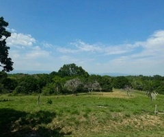 Terreno en Buena Vista!!! - 3