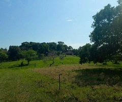 Terreno en Buena Vista!!! - 2