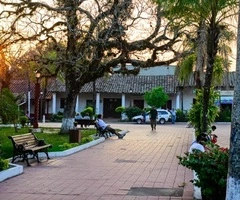 Terreno en Buena Vista!!! - 3