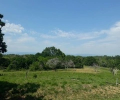 Terreno en Buena Vista!!! - 4