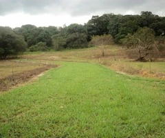 Terreno en Buena Vista, Ichilo!!!! - 4