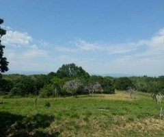 Terreno en Buena Vista, Ichilo!!!! - 5