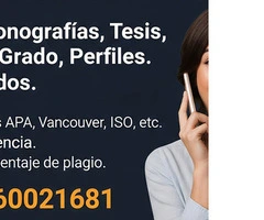 SERVICIO DE ELABORACION DE PERFIL, MONOGRAFÍAS, TESIS, PROYECTOS, NORMAS APA, VANCOUVER - 6