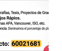 SERVICIO DE ELABORACION DE PERFIL, MONOGRAFÍAS, TESIS, PROYECTOS, NORMAS APA, VANCOUVER - 10