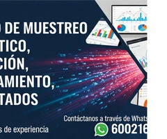 SERVICIO DE MUESTREO ESTADÍSTICO, TABULACIÓN, PROCESAMIENTO Y RESULTADOS. - 12