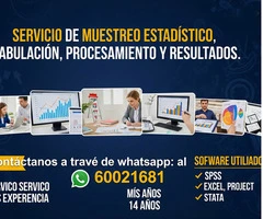 SERVICIO DE MUESTREO ESTADÍSTICO, TABULACIÓN, PROCESAMIENTO Y RESULTADOS. - 14