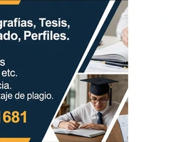 SE  REALIZA PERFIL, MONOGRAFÍAS, TESIS, PROYECTOS, NORMAS APA, VANCOUVER - 11