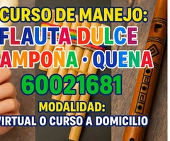 CURSO DE: FLAUTA DULCE - ZAMPOÑA - QUENA - 3