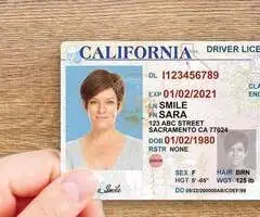 ID/Passport/License/Diplomas/Certificates WhatsApp: +27642900428