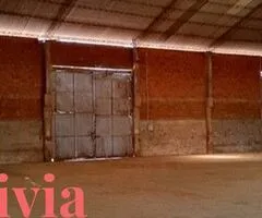 GALPON CON OFICINAS EN ALQUILER EN ZONA SUR - 5