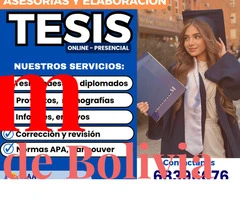 Asesoramiento Académico Personalizado para Tesis y Proyectos - 2