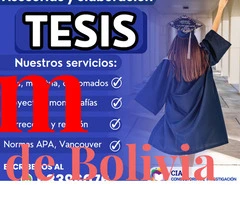 Asesoramiento Académico Personalizado para Tesis y Proyectos - 4