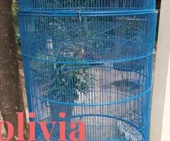 Venta de ocación  por mudanza