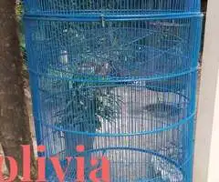 Jaula Para Aves Grande