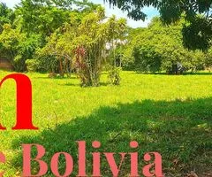 TERRENOS EN ALQUILER ZONA NORTE DESDE 1500 A 8000 M2 - 4