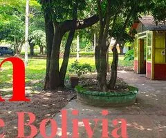 TERRENOS EN ALQUILER ZONA NORTE DESDE 1500 A 8000 M2 - 7