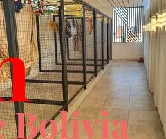 alquilo departamento amoblado en edificio Genz - 15