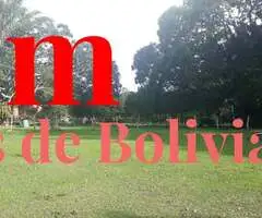 PROPIEDAD GANADERA EN VENTA! zona de Chata entrando a 8 minutos de Montero - 4