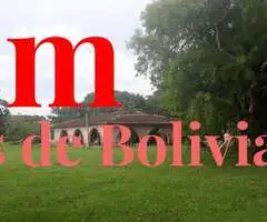 PROPIEDAD GANADERA EN VENTA! zona de Chata entrando a 8 minutos de Montero - 5