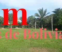 PROPIEDAD GANADERA EN VENTA! zona de Chata entrando a 8 minutos de Montero - 6