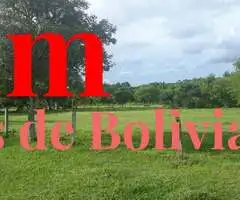 PROPIEDAD GANADERA EN VENTA! zona de Chata entrando a 8 minutos de Montero - 7