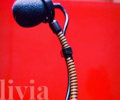 Micrófono Audix adx 20 ip