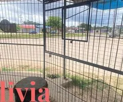 ???????????????????????? ???????????????????????????????????? ???????? ????????????????????????????? - 6