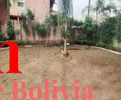CASA AMPLIA DE 2 PLANTAS EN ALQUILER – URBANIZACION CAÑOTO - 10