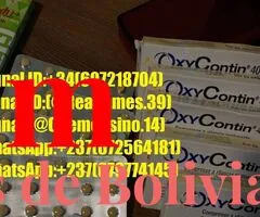 WhtsAp+(237)(672564181)BUY GBL/GHB,XANAX,ADDERALL,KETAMINE ADHD ONLINE IN USA,UK,EUROPE - 3