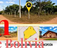 ???????????????????????????????????? ???????????????????????????? ???????? ????????????????????????? - 2